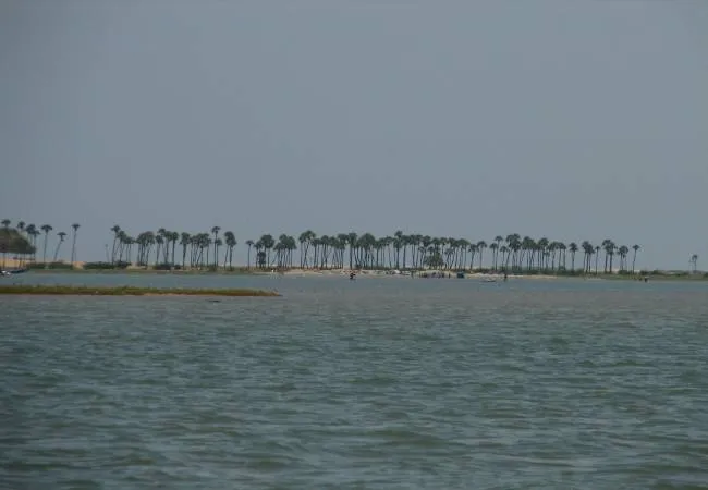 PULICAT LAKE CHENNAI HIGH COURT TN GOVT 